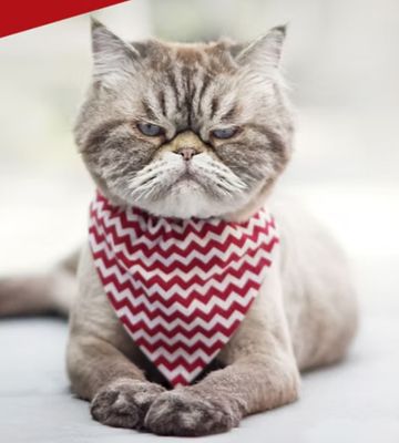 Passive-Aggressive Behavior: Sources and Solutions for Libraries