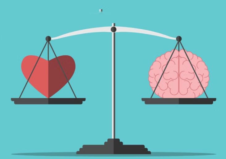 Misinformation and Conspiracy Theory Trends: Advice for Libraries