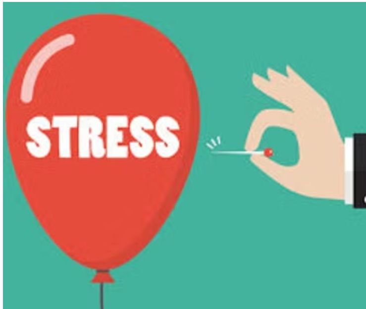 Stress Management for Library Staff: Real Tools for Work and Life Balance