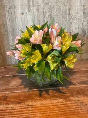 Everlasting Alstroemeria