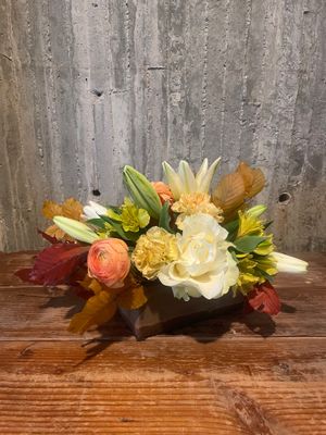 Autumn Glow