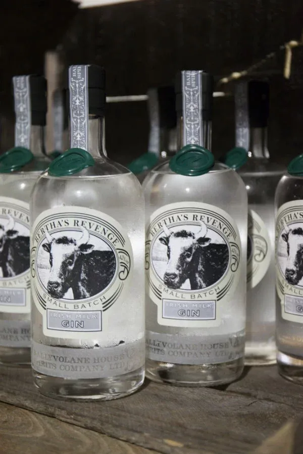 Bertha's Revenge Gin Mignon – Confezione 12 × 5 cl