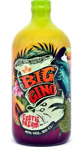 Big Gino Exotic Dream Gin – 1 L
