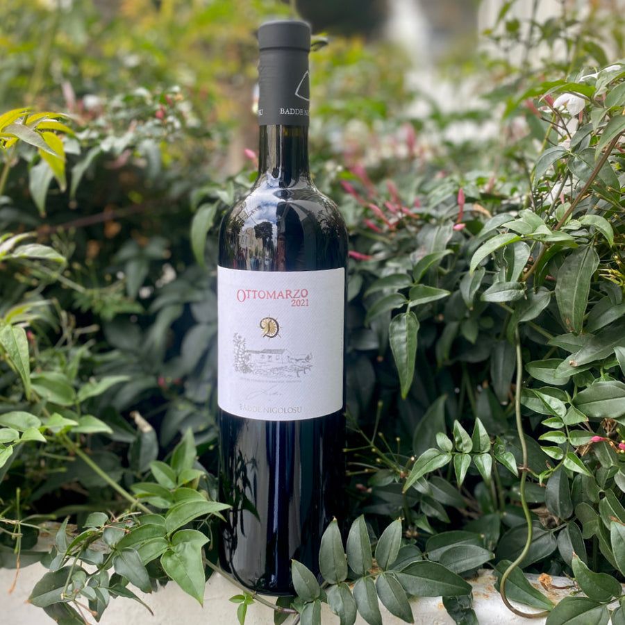 Dettori – Ottomarzo – Romangia IGT – 2020 – 75 cl