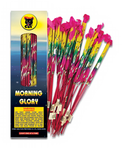 Morning Glory (Black Cat)