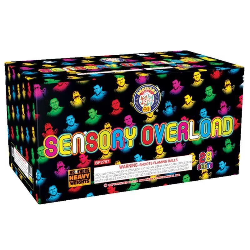 Sensory Overload