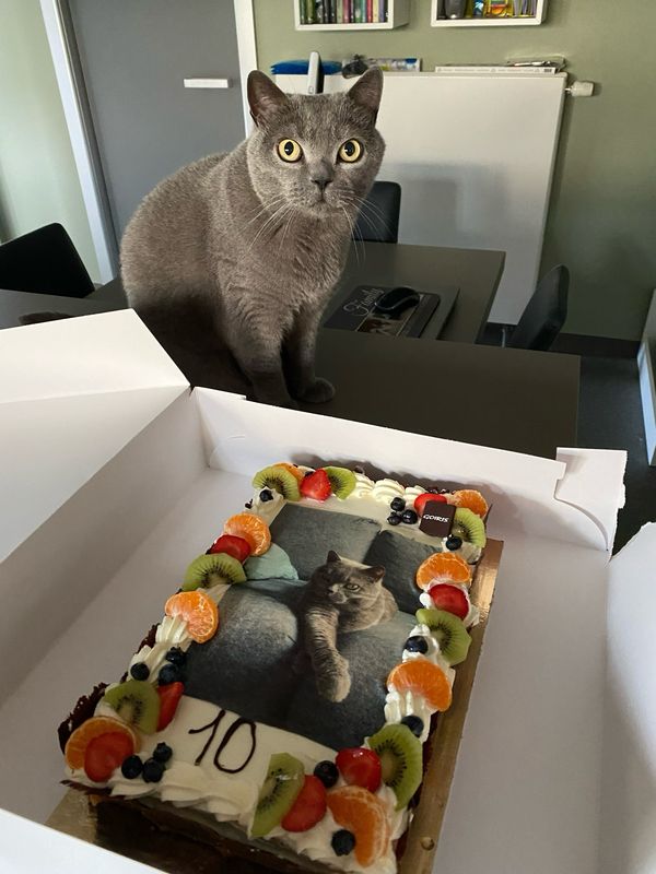 Foto op gateau
