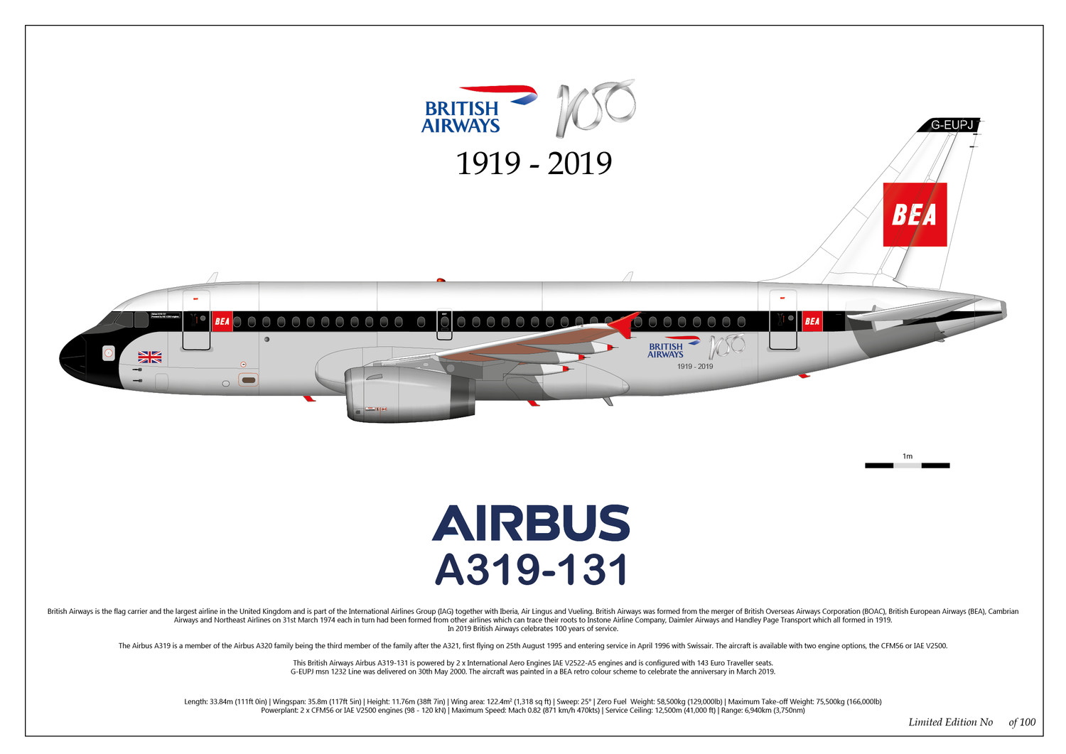 Airbus A319-121 British Airways 100th Anniversary G-EUPJ - Limited Edition Print