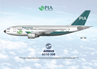 航空機・ヘリコプター PIA A310-308 航空機・ヘリコプター PIA A310-308 航空機・ヘリコプター PIA
