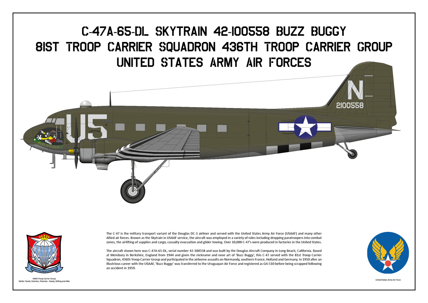 C-47 Skytrain 42-100558 Buzz Buggy of the 81st Troop Carrier Squadron - Layout A