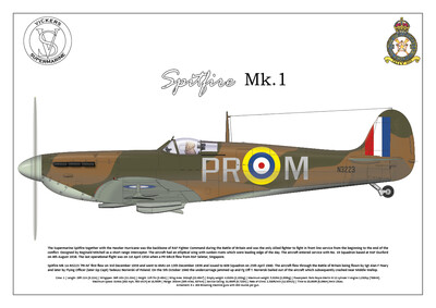Supermarine Spitfire Mk1 N3223