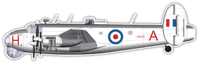 Avro Model 696 Shackleton MR1A - Vinyl Sticker