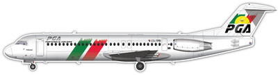 Fokker F100 of Portugalia - Vinyl Sticker