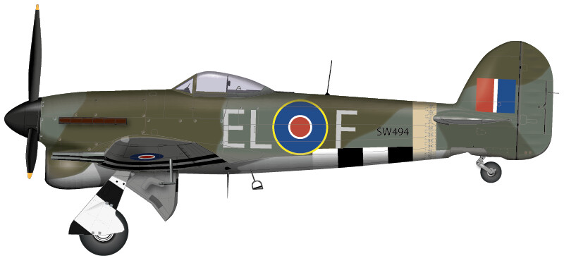 Typhoon