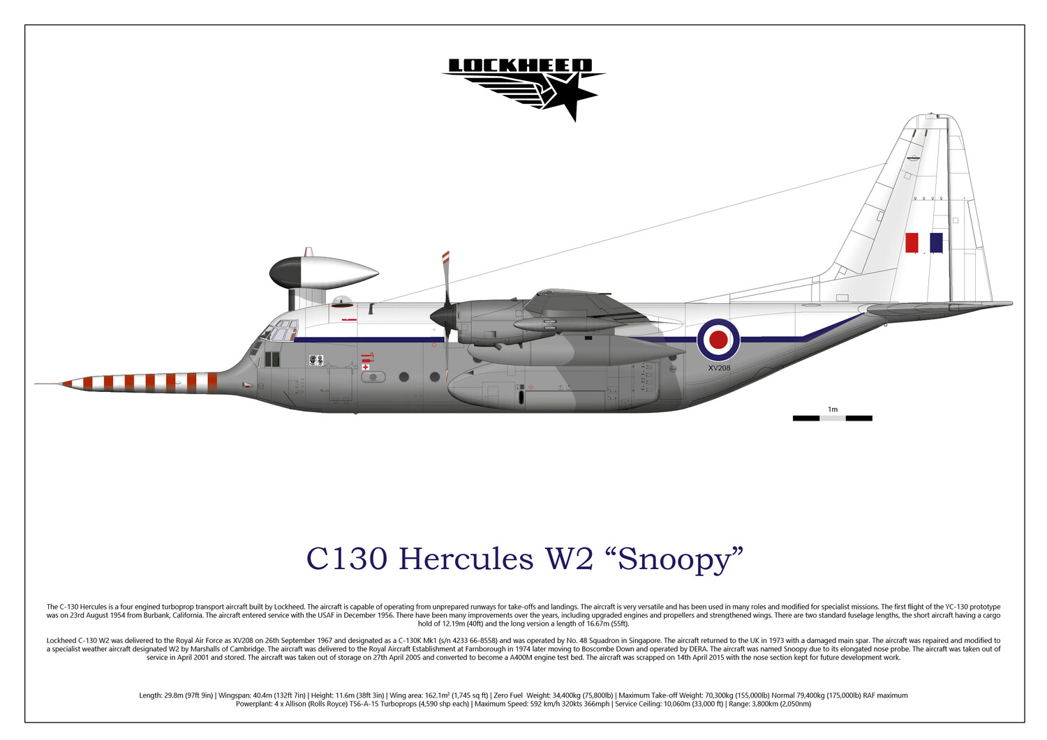USAF米空軍＊ルーニー・テューンズ七宝シルベスター・キャット爆撃機スコードロン Lockheed C130 hercules W2 