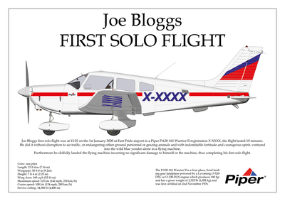 Solo Flight Certificate Prints