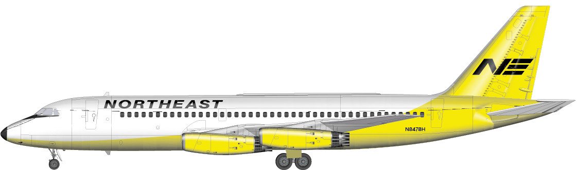 航空機・ヘリコプター NORTHEAST yellowbirds 航空機・ヘリコプター NORTHEAST yellowbirds 航空機