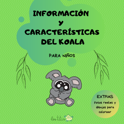Información y Características del Koala