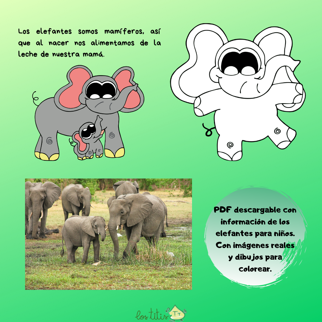Información y Características del Elefante