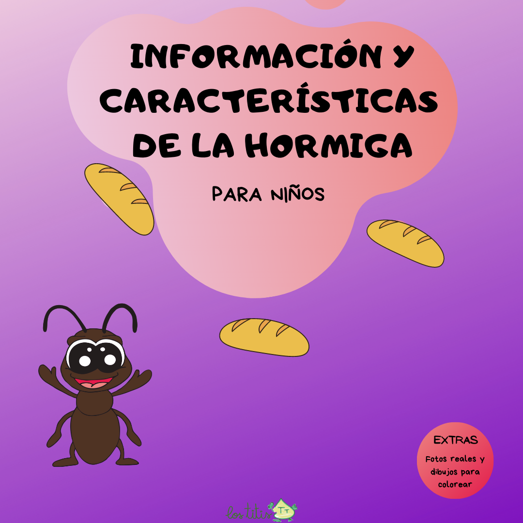 Información y características de la Hormiga