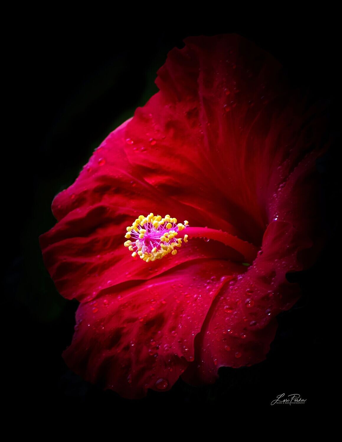 Big Red