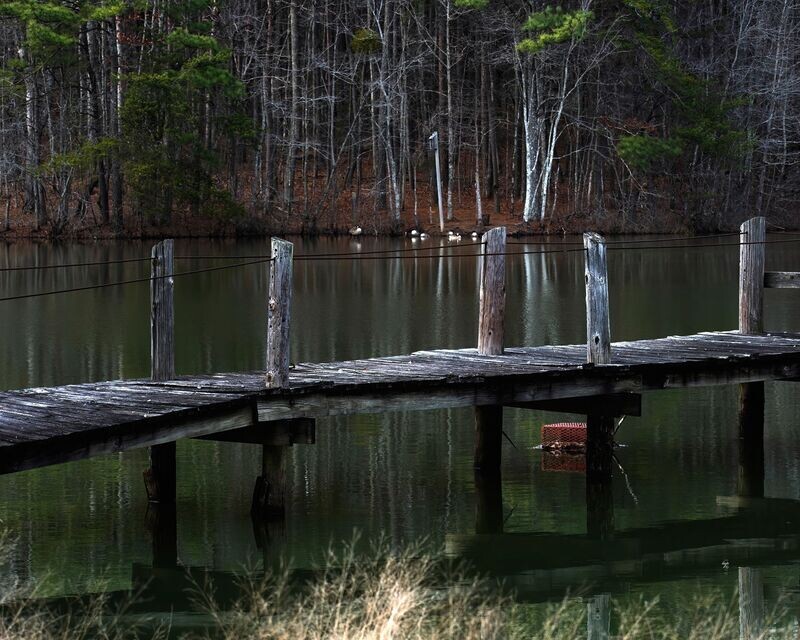 Pond Dock