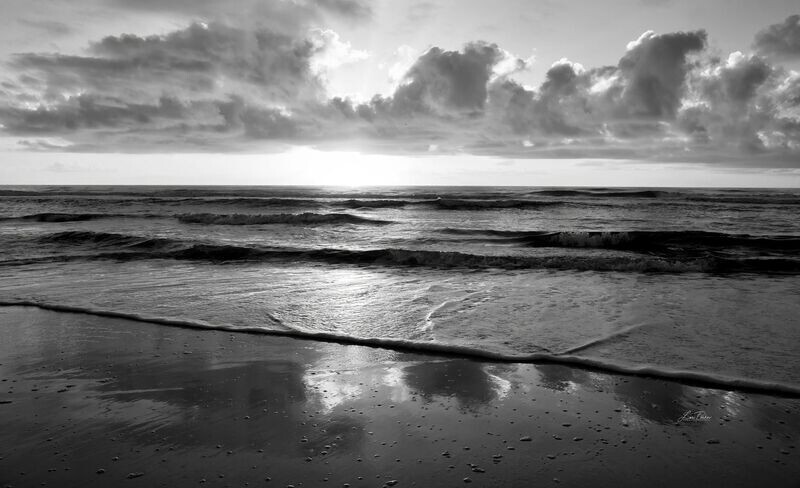 Ponte Vedra Morning