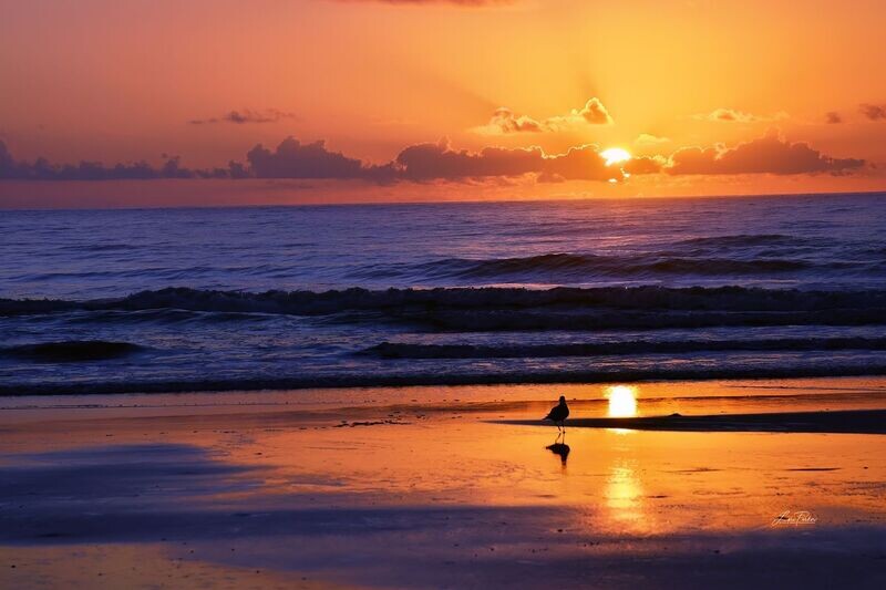 Ponte Vedra Sunrise