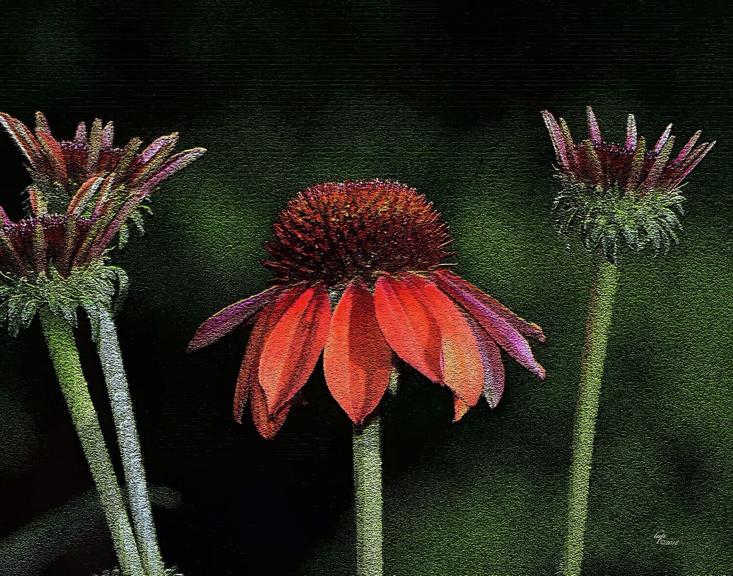Trio
