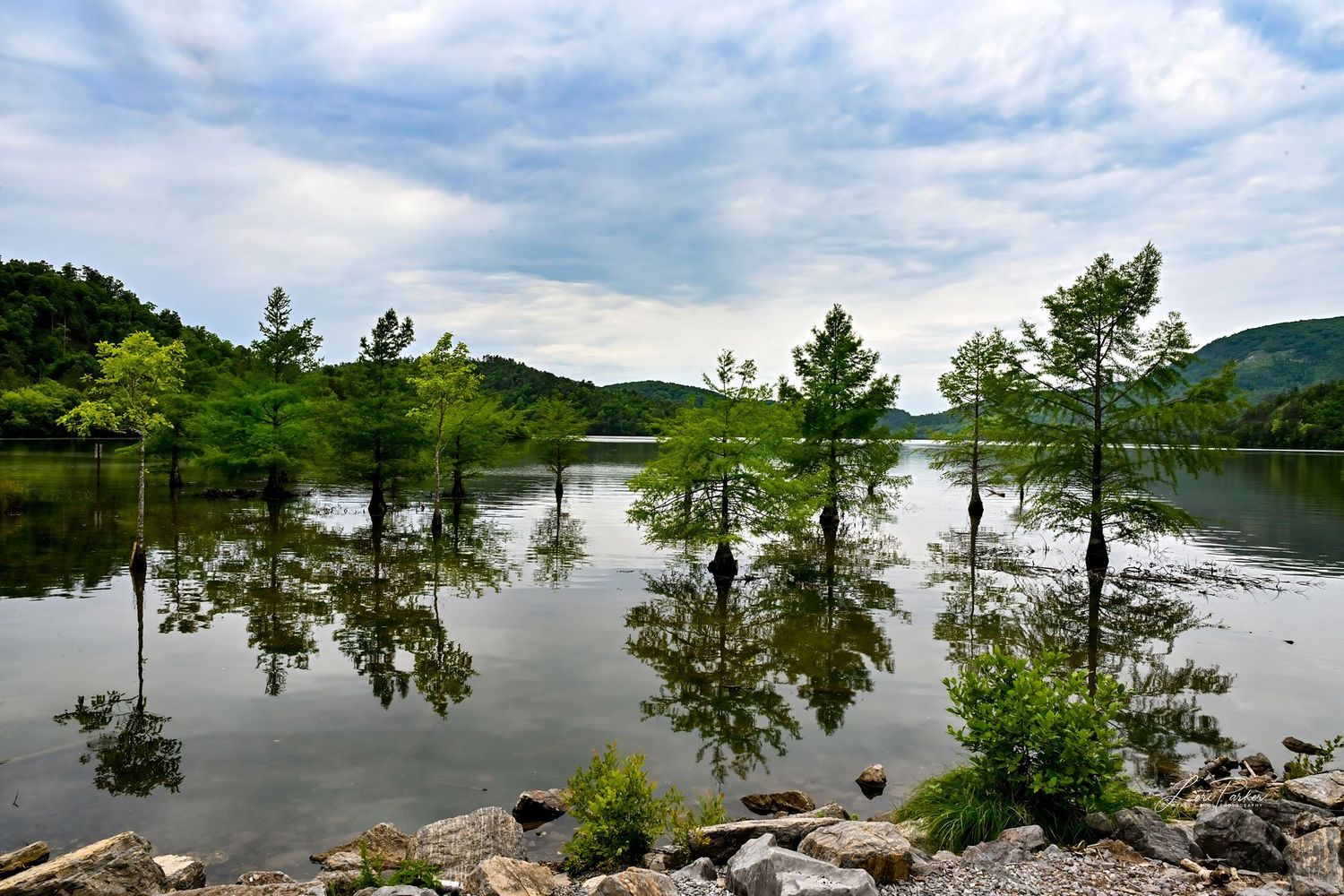 Oconee River Basin