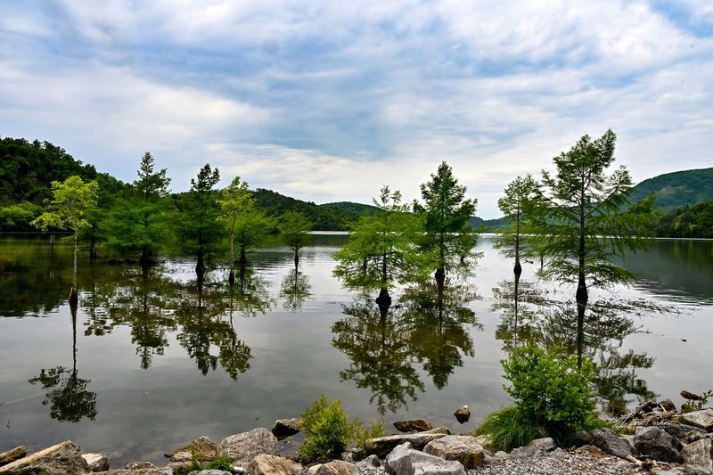 Oconee River Basin