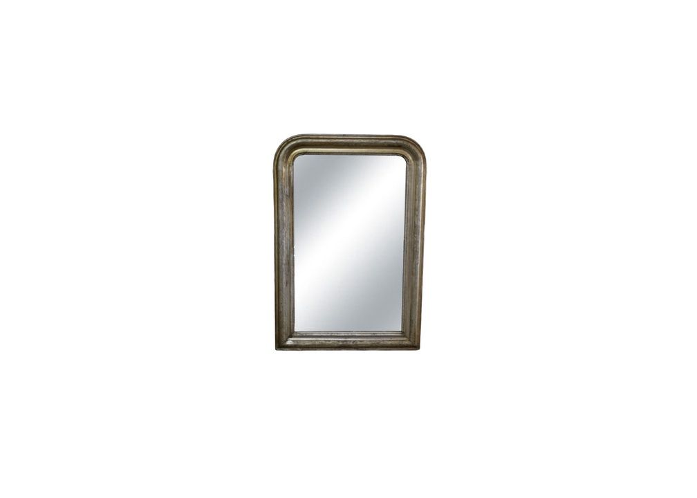 Louis Philippe Mirror with Silver and Copper Leaf on Frame, 29 1/2" X 43"
