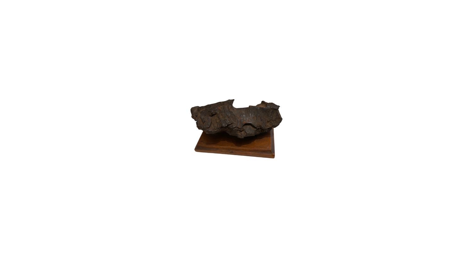 1940's Bronze Fragment on Wood Base