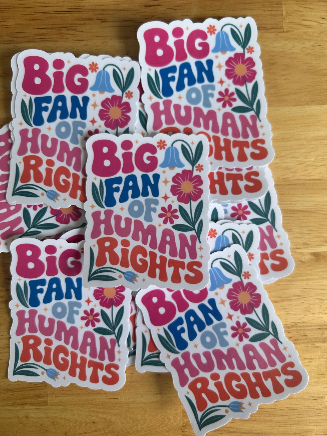 "Big Fan of Human Rights" Die Cut Sticker