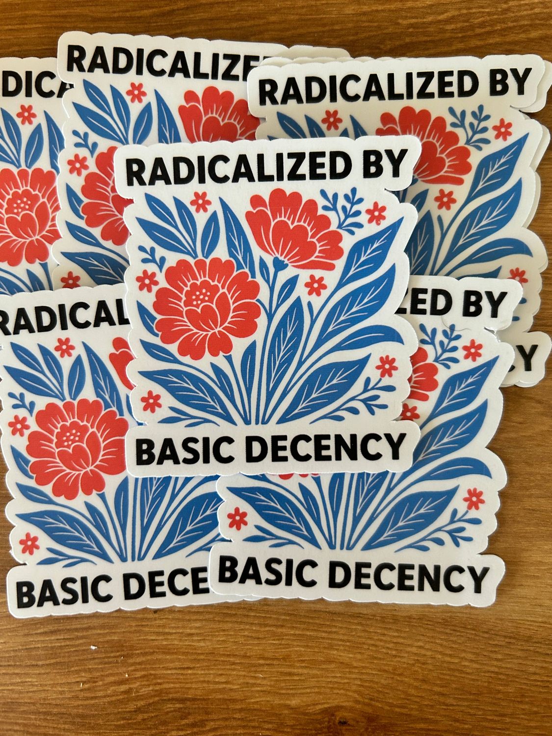 "Radicalized By Basic Decency" Sticker