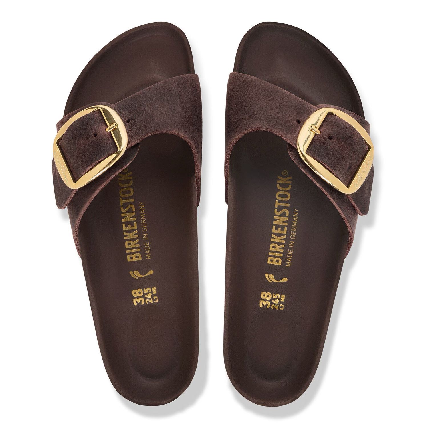 Madrid Big Buckle Leather- Habana