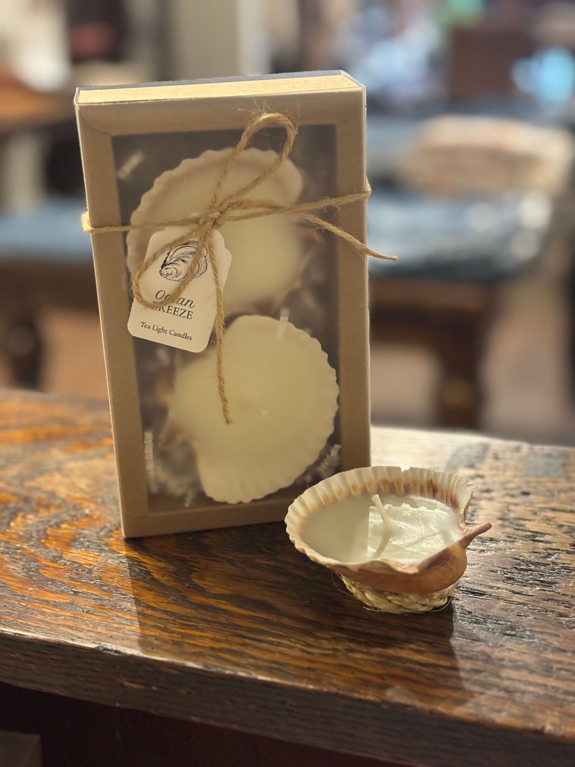 Scallop Shell Tea Light Candle Set- Ocean Breeze Scent