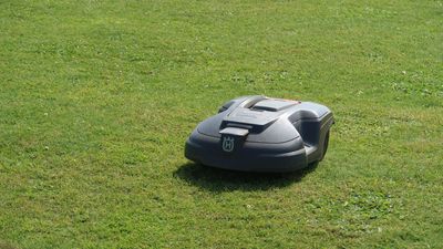 Robots tondeuses