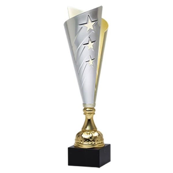 Silver And Gold Star Cup Silver And Gold Star Cup