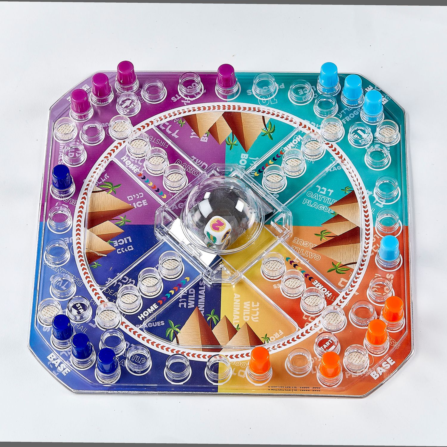 PASSOVER GAME, "PASSOVER PLAGUE PURSUIT", 10" X 10", COLOR BOX