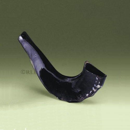 SHOFAR, MEDIUM, 13"