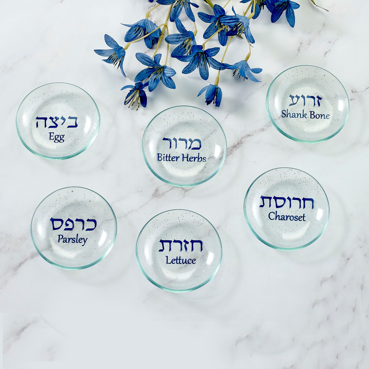 SEDER PLATE LINERS W/ DOTTED ACCENTS, GLASS,6/SET,COLORBOX