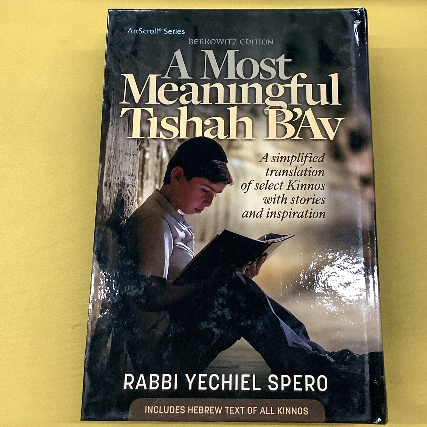 A Most Meaningful Tishah B'Av