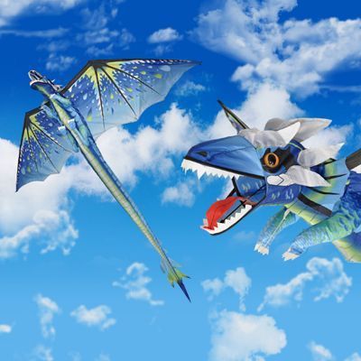 Kite