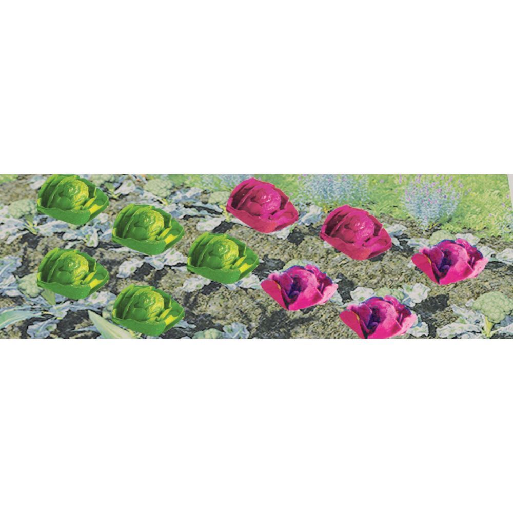 Cabbage &amp; Lettuce, 1/2in width, O-Scale, (20 per pack)