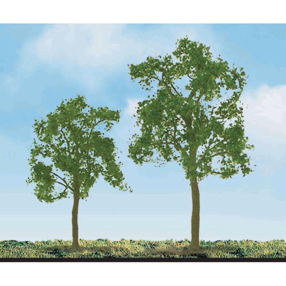Ash Tree, 2in, (4 per pack)