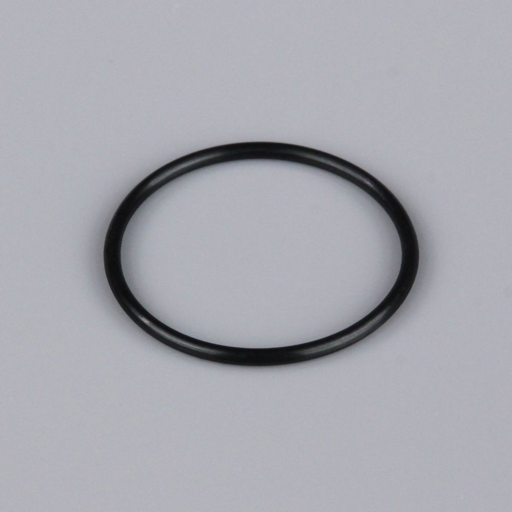 L001 Rear Crankcase Cover O-Ring