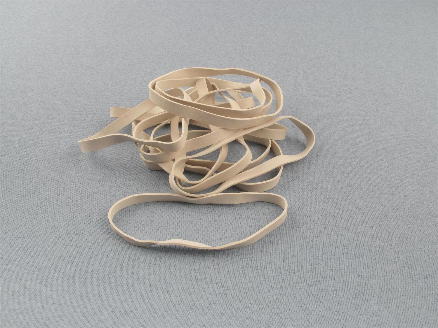 Wing Bands White 4" (Pack of 12)