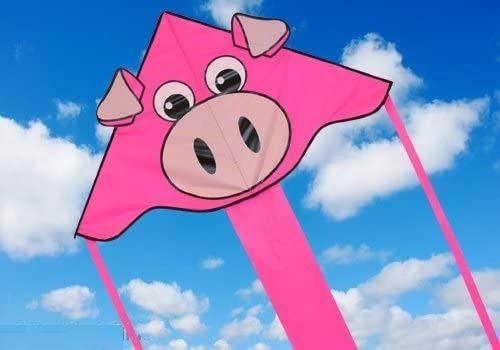 Super Flyer - Pig