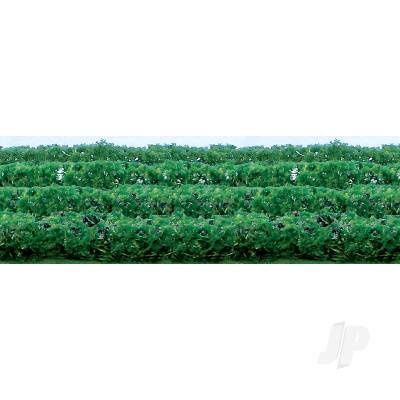 Green Hedges